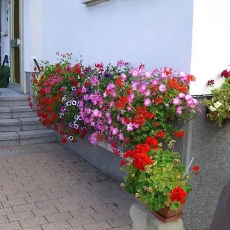 Apartment Studio Rouffach