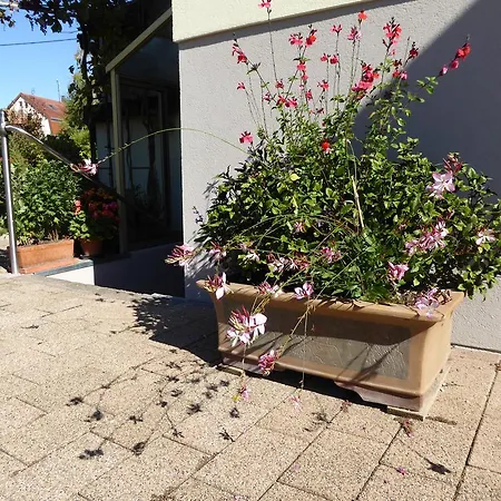 Studio Rouffach * Rouffach