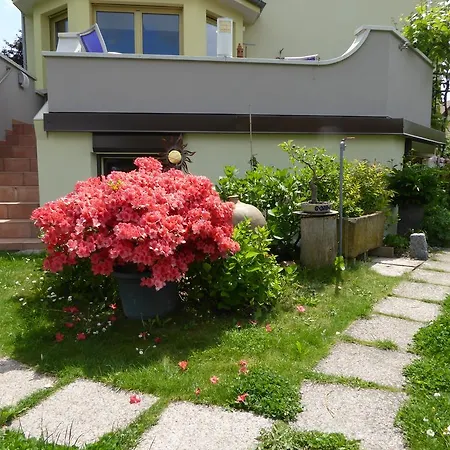 Studio Rouffach Apartment *