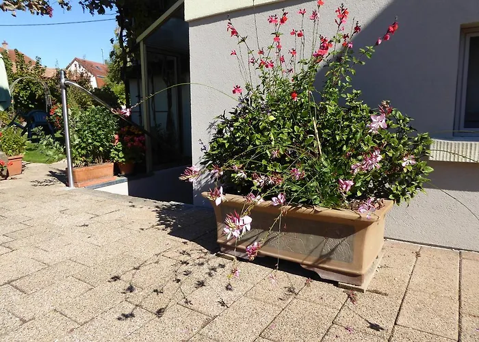 Studio Rouffach * Rouffach