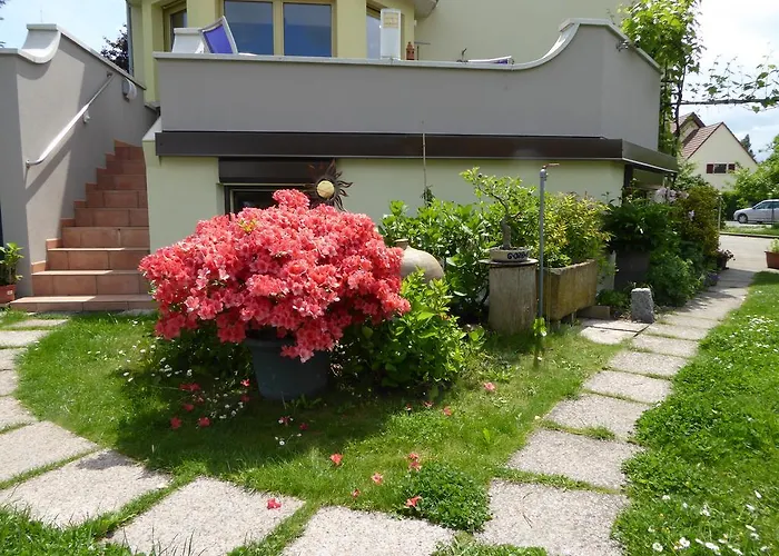 Studio Rouffach Apartment *